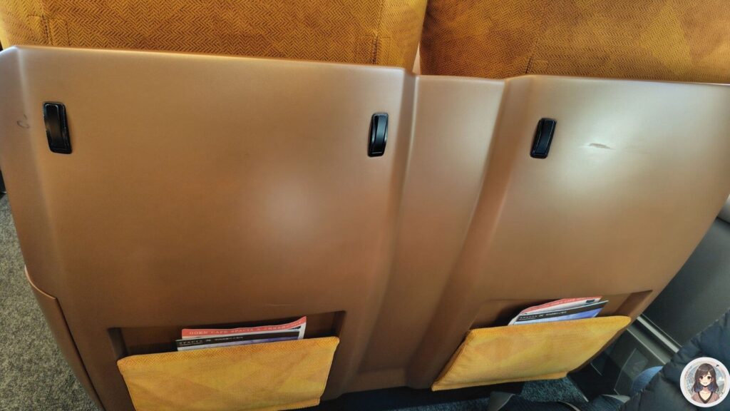 SPECIAX、プレミアムクラス、前席の背面フック