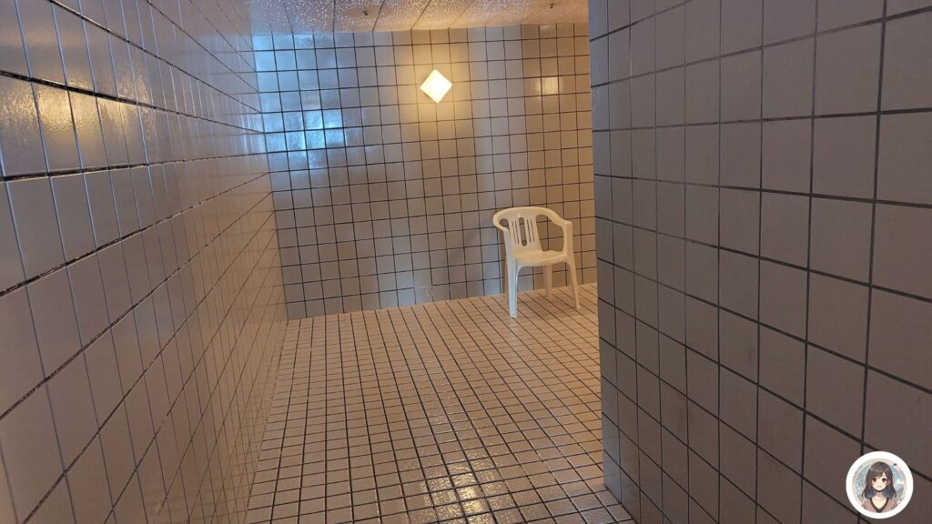 スチームサウナ ミストサウナ